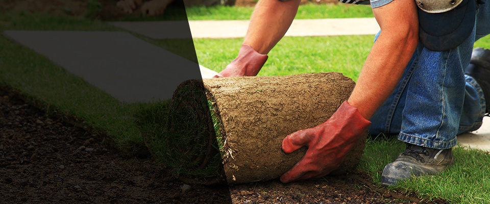 Lexington Park Landscapers